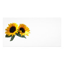 Sunny Sunflowers Photo Cards