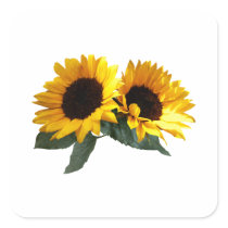 Sunny Sunflowers Square Stickers