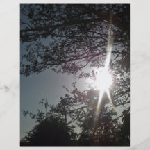 Sunny Tree Branches Custom Flyer