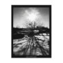 Sunny winter backyard black&white - Postcard