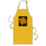 Sunny yellow flower and its meaning aprons