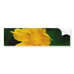 Sunny yellow flower and its meaning bumper stickers