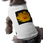 Sunny yellow flower and its meaning pet clothing