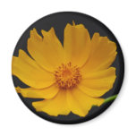 Sunny yellow flower and its meaning magnets