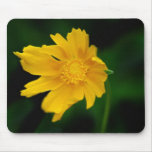 Sunny yellow flower and its meaning mousepads