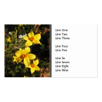 Sunny Yellow Flowers. Bidens. Business Card Templates