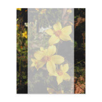 Sunny Yellow Flowers. Bidens. Personalized Flyer