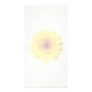 Sunny Yellow Gerbera Daisy Photo Cards