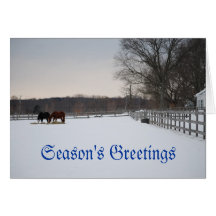 Sunnyside Holiday Card