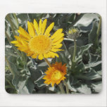 Sunrays mousepads