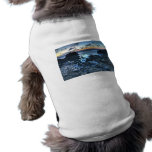Sunrise at Dor beach pet clothing
