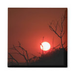 Sunrise at Phinda Private Game Reserve (Magnet)