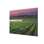 Sunrise colour in the distant fog behind canvas print