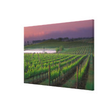 Sunrise colour in the distant fog behind canvas print