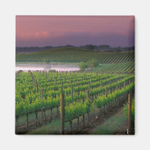 Sunrise colour in the distant fog behind fridge magnet