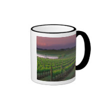 Sunrise colour in the distant fog behind mug