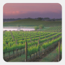 Sunrise colour in the distant fog behind sticker