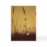 Sunrise Field cards