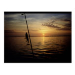 Sunrise Fishing Scene Postcard