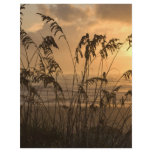 Sunrise flyers
