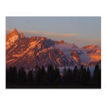 Sunrise From Colter Bay Post Card