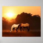 Sunrise horses poster
