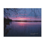 Sunrise in Lapland Postcards