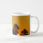 Sunrise Louisiana Coffee Mug