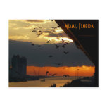 SUNRISE......    Miami, Florida postcards
