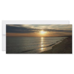 Sunrise Norfolk VA rack cards