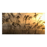 Sunrise photo cards