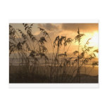Sunrise postcards