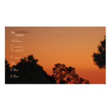 Sunrise Profile Card Business Card
