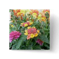 Sunrise Rose Lantana
