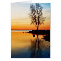 Sunrise Serenity Cards
