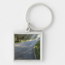 Sunrise through fog alongside Green River Keychains