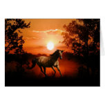 Sunrise unicorn greeting card