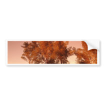 suns' warm Glow Bumper Sticker