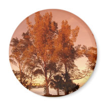 suns' warm Glow Magnet
