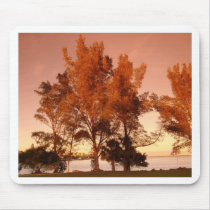suns' warm Glow Mousepads