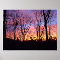 Sunset 1 posters