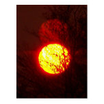 Sunset 6 post cards