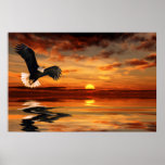 Sunset-Artist-Concept-Ver-1 posters