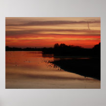 Sunset at Abberton Poster