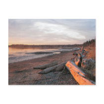 Sunset at Birch Bay Post Card