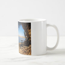 Sunset at Fatnas Island, Siwa Oasis, Africa Mug