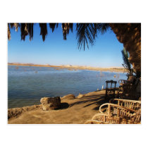 Sunset at Fatnas Island, Siwa Oasis, Africa postcards