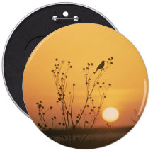 Sunset at Tewaukon National Wildlife Refuge Pinback Button