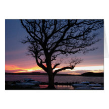Sunset at the Harbour Greeting Card