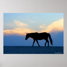 Sunset Beach Horse Print